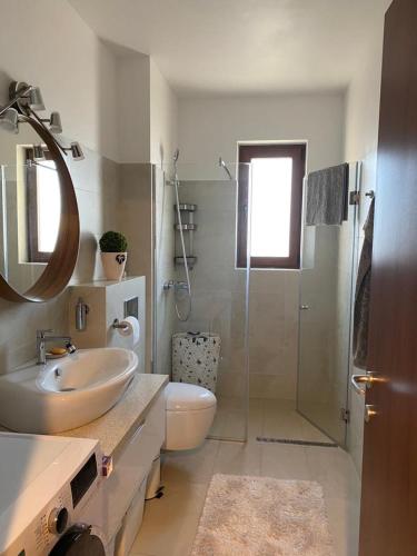 a bathroom with a shower and a sink and a toilet at Centenar Diamond in Ploieşti
