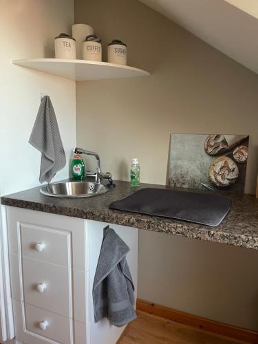 eine Küchentheke mit einem Waschbecken und einem Waschbecken in der Unterkunft Breezy Point Guesthouse in Donegal