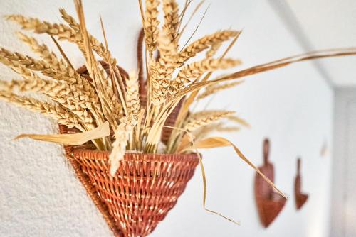 a plant in a wicker basket on a wall at Doppelzimmer mit Terrasse in Därligen