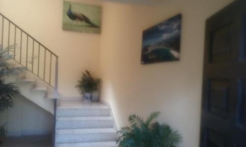 a hallway with stairs and potted plants on the wall at Casa Rural Arratzain in Usúrbil