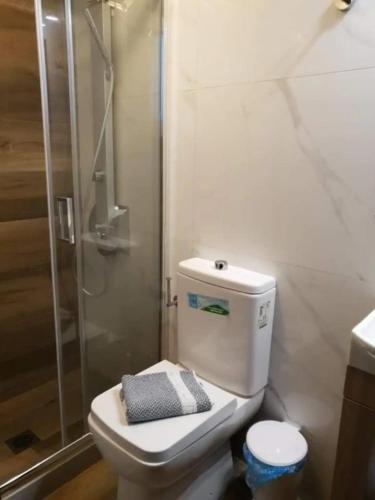 a bathroom with a toilet with a glass shower at Damianakis Village Rethymno in Somatás