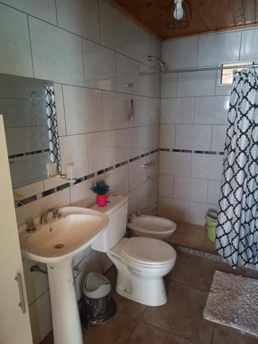 uma casa de banho com um WC branco, um lavatório e um WC. em Casa VillaOliva em Luján de Cuyo