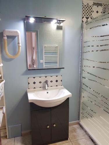 une salle de bain avec un lavabo et une douche dans l'établissement Location Landes Mimizan Plage, à Mimizan-Plage