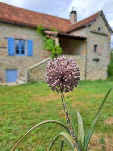 Maison typique du Quercy ! – Photos 4