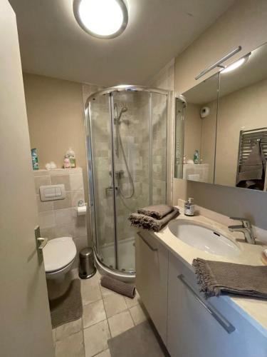 La salle de bains est pourvue d'une douche, d'un lavabo et de toilettes. dans l'établissement Superbe appartement en bord de mer, près du centre et des plages, à Menton