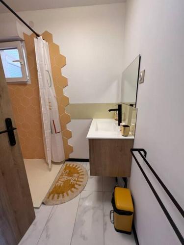 une salle de bain avec un lavabo et une douche avec un miroir dans l'établissement JoePolly surf House, à Lacanau