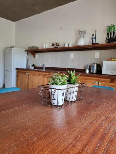 a potted plant sitting on a table in a kitchen at MarEz in Punta Del Diablo