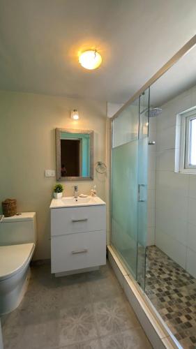 a bathroom with a sink and a shower and a toilet at Hotel Casa Las Taguas in Constitución