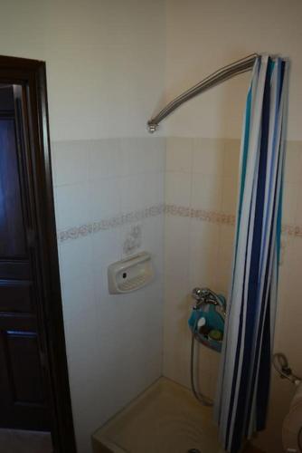 a shower with a blue shower curtain in a bathroom at Rousalis Studio-Corfu- Hellas in Agios Georgios