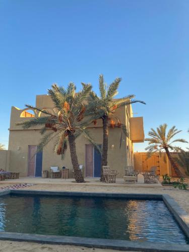 une maison avec des palmiers et une piscine dans l'établissement WAFLA, à Siwa