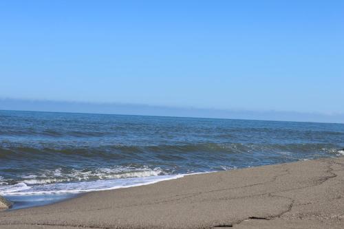 a sandy beach with the ocean in the background at Hotel Partenon Beach in La Ceiba