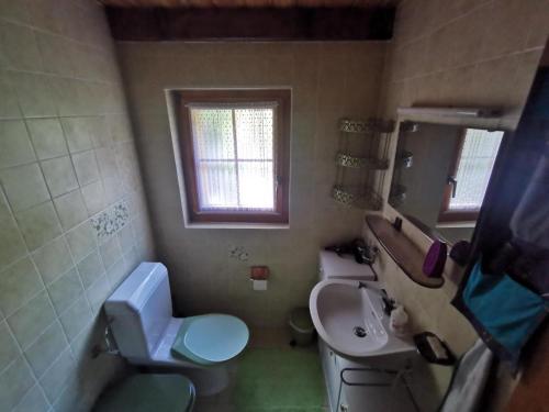 a small bathroom with a toilet and a sink at Chalet Dixence in Hérémence