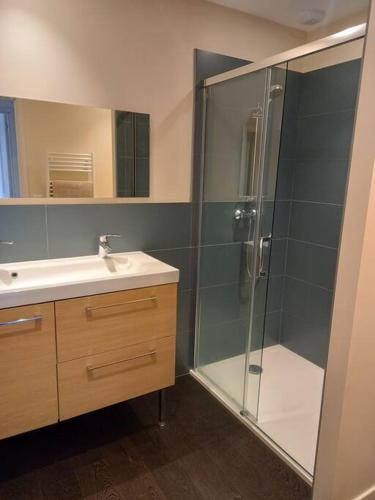 une salle de bain avec une douche en verre et un lavabo dans l'établissement Le Murger, sud Bourgogne, à Ozenay