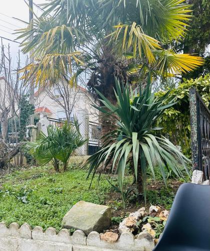 una palmera en un patio junto a una valla en Appartement avec jardinet, quartier pavillonnaire, en Argenteuil