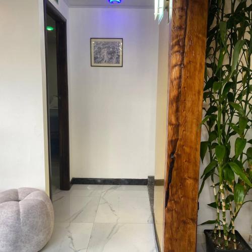 a hallway with a wooden pole and a plant at Calu L' Petit Hostel in Quito