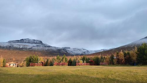 a field with trees and mountains in the background at Stora Sandfell Rooms and Cottages in Stóra-Sandfell