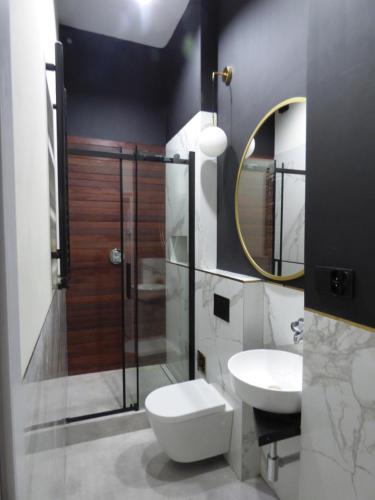 a bathroom with a toilet and a sink and a mirror at Kopernik Premium Rooms Apartment in Toruń