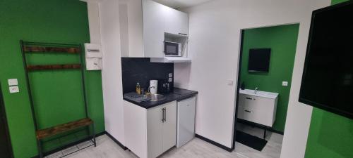 Apartament ten dysponuje kuchnią ze ścianami w kolorze zielonym i białym oraz umywalką. w obiekcie Studio Hibiscus tout confort, rénové w mieście Saint-Quentin