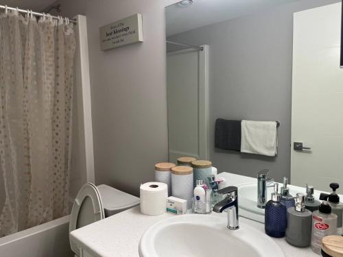 a bathroom with a sink and a toilet and a mirror at Stylish Basement Suite with Modern Comforts in Winnipeg