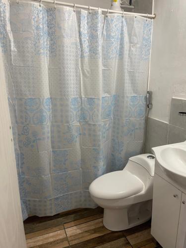 a bathroom with a toilet and a shower curtain at Cab, SE ,1 in Villa Los Aromos