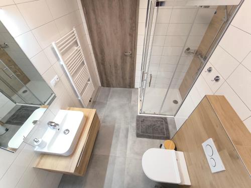 a bathroom with a sink and a shower and a toilet at Apartmány Lipno-Hory in Horní Planá