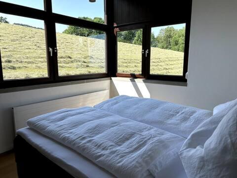 a bed in a room with two windows at HAUS A Ankommen*Abschalten*Auftanken in Bregenz
