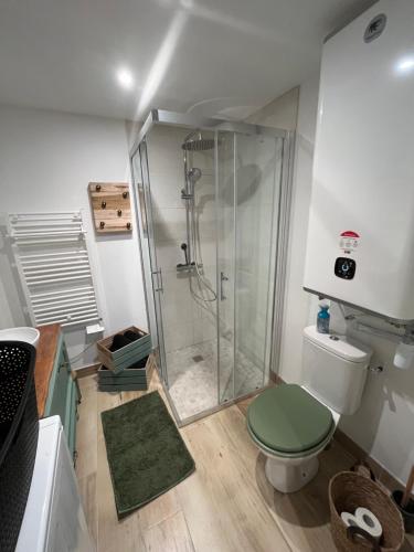 uma casa de banho com um chuveiro e um WC. em Gite à la Ferme pédagogique Les petits sabots de L'oudon em Bretteville-sur-Dives