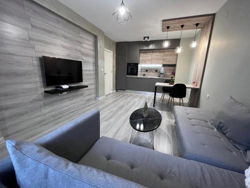 a living room with a blue couch and a television at Beautiful Apartment free Parking Garage in Plovdiv