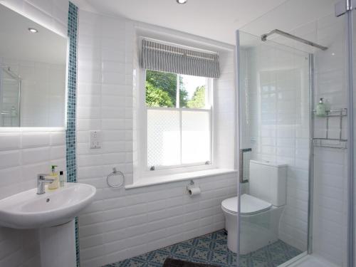 a bathroom with a sink and a toilet and a window at South Wing Cottage in Rumleigh