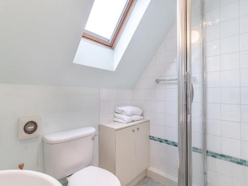 a bathroom with a toilet and a shower at Cottage Ixworth in Ixworth