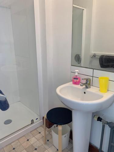 a white bathroom with a sink and a shower at Thomas's Catlins Lodge and Camp Ground in Owaka