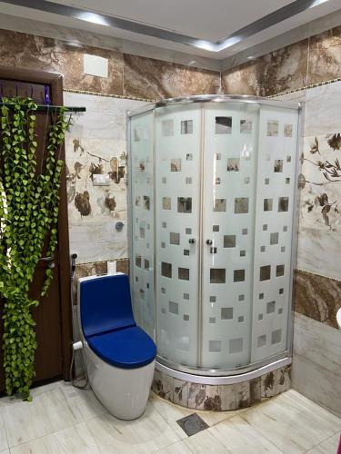 a bathroom with a blue toilet and a shower at شقة للايجار مفروشة بالكامل in Cairo