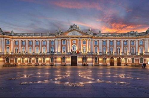 Le Golden magnifique studio Toulouse centre