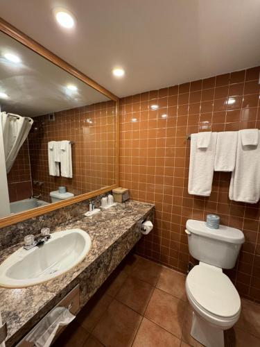 a bathroom with a sink and a toilet and a mirror at Travelodge by Wyndham Winnipeg in Winnipeg