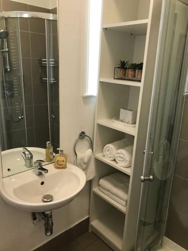 a bathroom with a sink and a shower and a shower at Spacious Kosher Flat in Golders Green in London