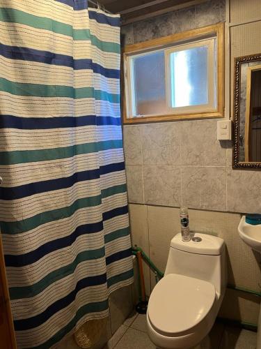 uma casa de banho com um WC e uma cortina de chuveiro em cabaña norma cerro castillo em Villa Cerro Castillo