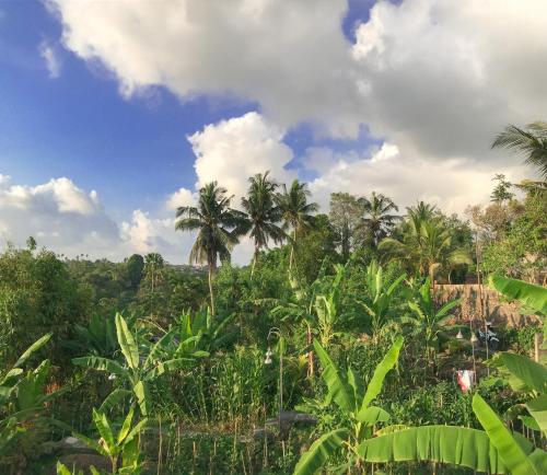 a view of a jungle with palm trees at Heri house ubud in Ubud