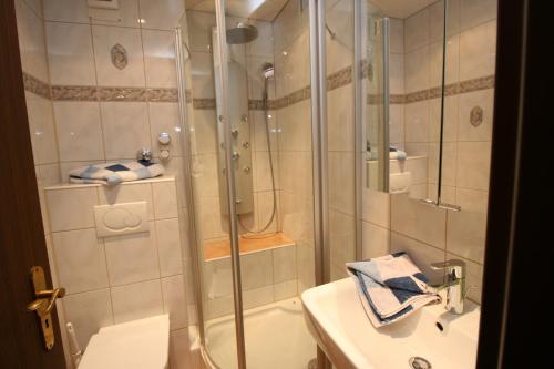 a bathroom with a shower and a toilet and a sink at Alpendohle in Reit im Winkl
