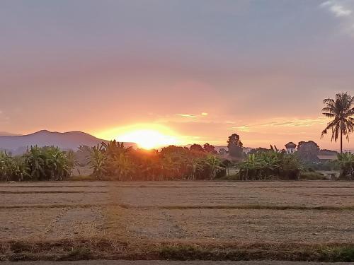 a sunset over a field with a palm tree at Villa Albizia in Chiang Mai in Doi Saket
