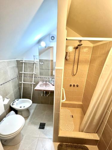 a bathroom with a toilet and a shower at Cabañas Casa de Piedra in Trevelín