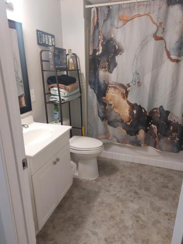 a bathroom with a toilet and a shower curtain at Newly Renovated Suite in Regina