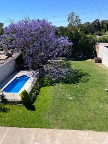 Un jardín con un árbol morado y una piscina. en Quinta Buena Vibra, en San Nicolás de los Arroyos