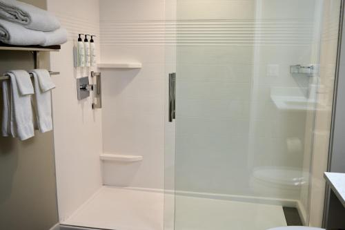 y baño con ducha y puerta de cristal. en TownePlace Suites By Marriott Columbia West/Lexington, en West Columbia