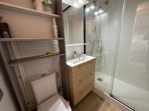 ein Bad mit einer Dusche, einem WC und einem Waschbecken in der Unterkunft Appartement Seignosse, 2 pièces, 4 personnes - FR-1-239-1008 in Seignosse