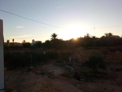einen Sonnenuntergang auf einem Feld mit Palmen im Hintergrund in der Unterkunft Elmoubaraka in Tataouine