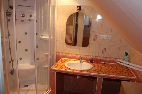 a bathroom with a sink and a shower at Apartment Příbram in Příbram