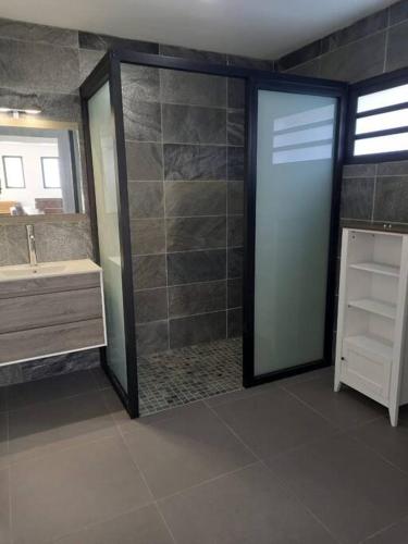 a bathroom with a shower and a sink and a mirror at Villa Panoramique in Le Tampon