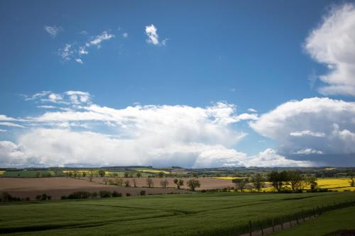 a field of green grass with a blue sky and clouds at Whitehouse Country House in Saint Boswells