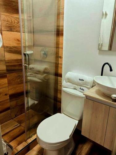 a bathroom with a toilet and a shower and a sink at Hotel granada in Cali
