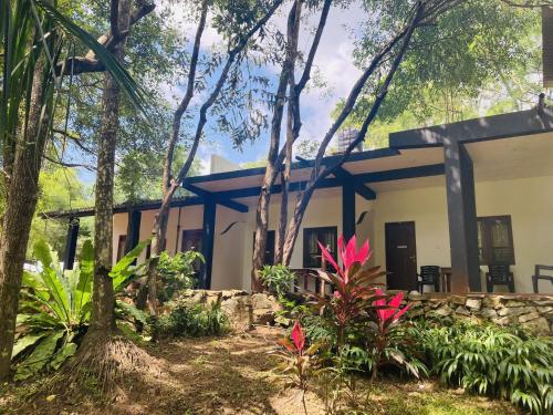 a house in the woods with trees and plants at Nugasewana Guest in Anuradhapura